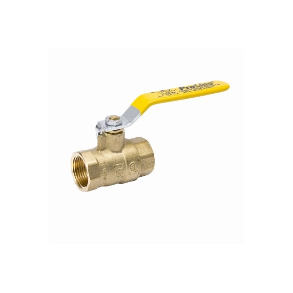 B & K 2 BRS FPT Ball Valve 107-818NL - main